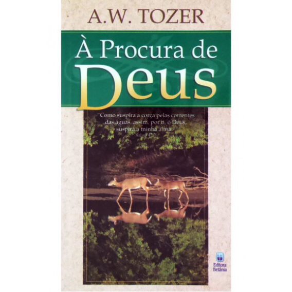 À Procura de Deus Diversos Livro