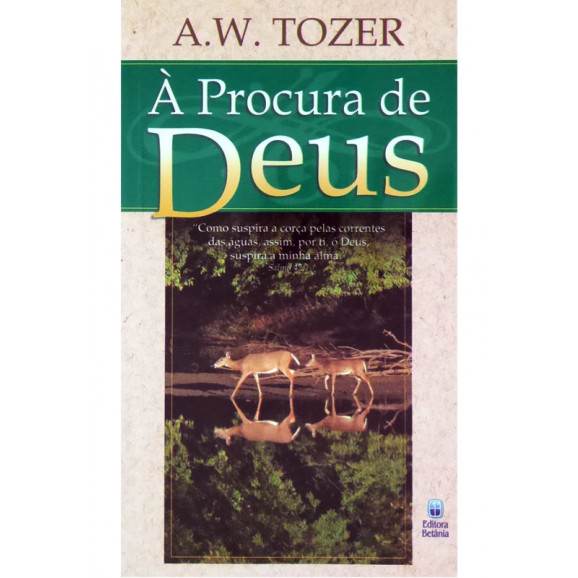 À Procura de Deus Diversos Livro