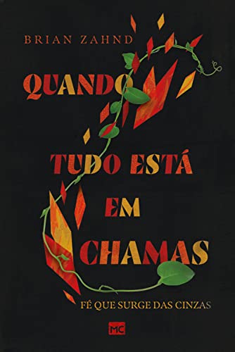 Quando tudo está em chamas Religião e Espiritualidade Fé