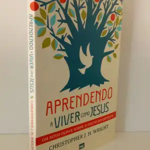 Aprendendo a viver como Jesus Religião e Espiritualidade Livro