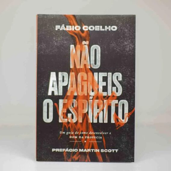 Não Apagueis o Espírito Livro Espirito Santo