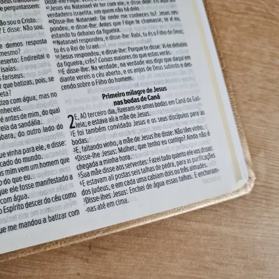 Bíblia Linhas de Ouro ACF Biblia Biblia