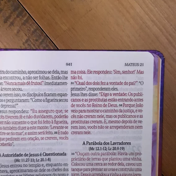 Bíblia Fala Comigo Jesus NVI Biblia Biblia Mulher