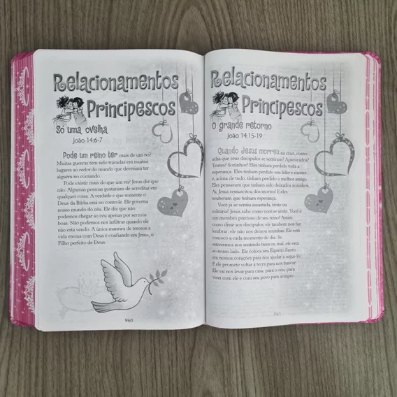 Bíblia Infantil da Princesinha Biblia Bíblia Infantil