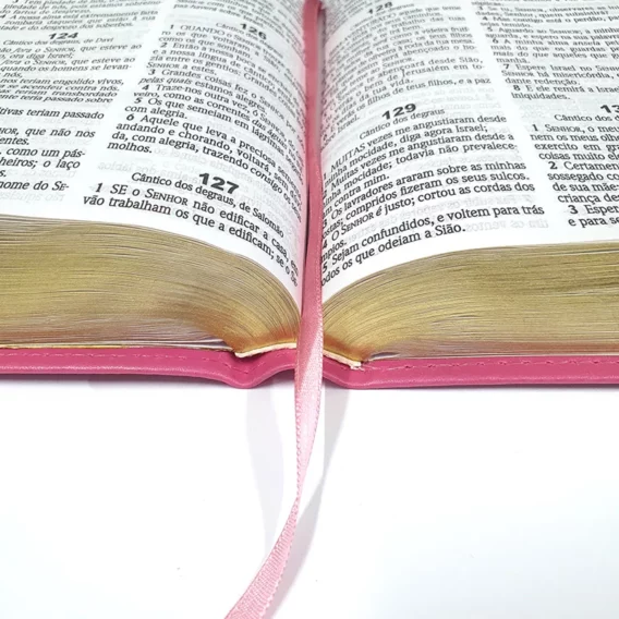 Bíblia ACF Pink Biblia Biblia Mulher