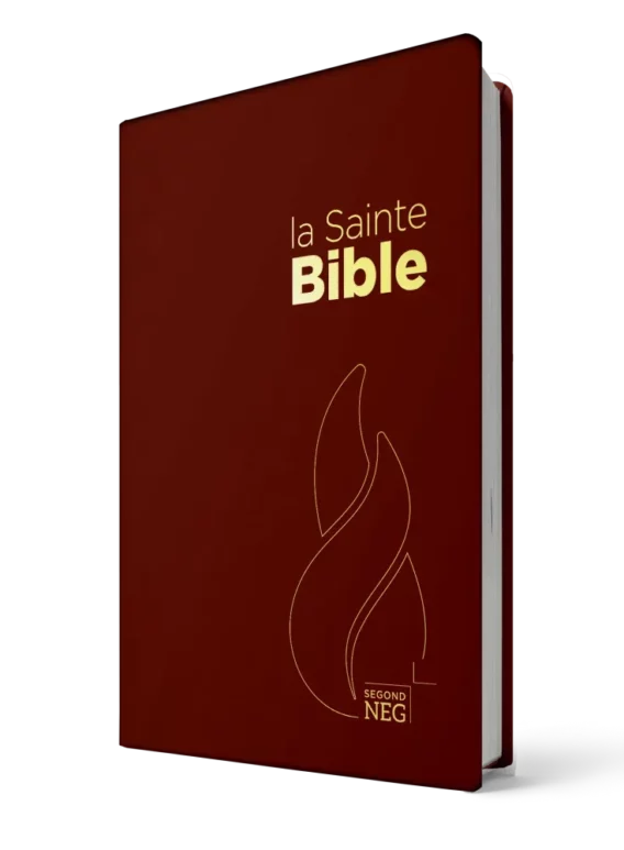 Bíblia Francês vermelha Biblia Biblia Frances