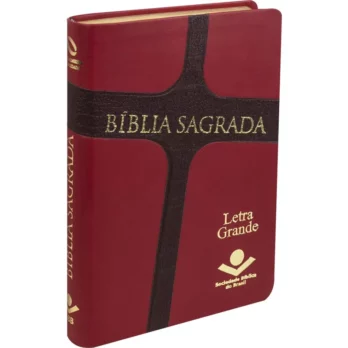 Bíblia NAA Vermelha e Marrom Letra Grande Biblia Biblia