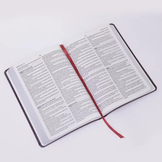 Bíblia Nada Será Capaz Slim NVT Biblia Biblia