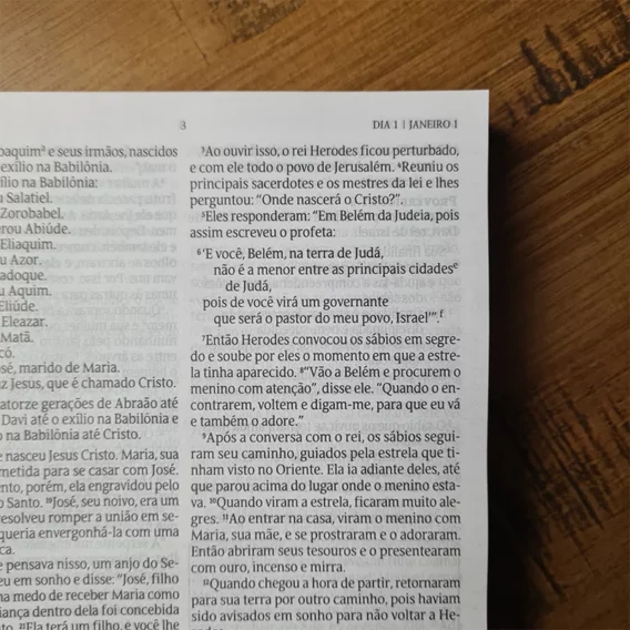 Bíblia 365 para Corajosas Biblia Biblia