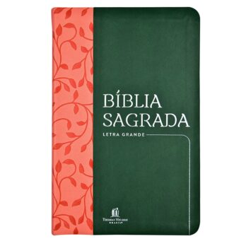 Biblia NVI verde/Salmão letra grande Biblia Biblia