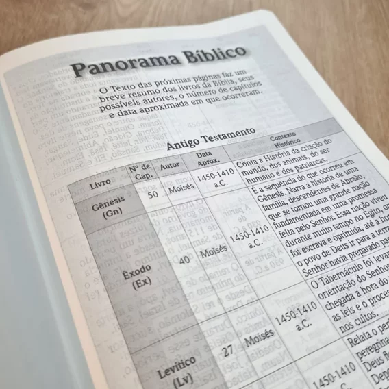 Bíblia NVI Letra Gigante Azul Biblia Biblia