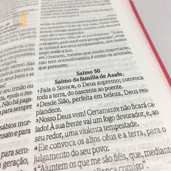 Bíblia NVI Rosa Biblia Biblia