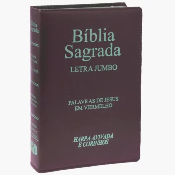 Bíblia ARC Com Harpa Avivada e Corinhos/ Índice Letra JUmbo Marrom Bíblia com Harpa Bíblia com Harpa