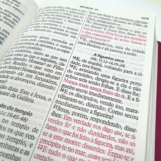 Bíblia da Mulher Vitoriosa ARC Branca Biblia Biblia