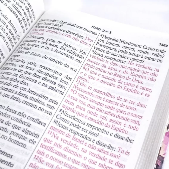 Bíblia da Mulher Vitoriosa ARC Rosa Letra Gigante Biblia Biblia