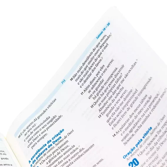 Bíblia NAA O Livro da Esperança