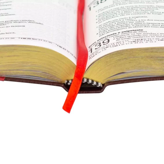Bíblia NAA Cruz Vermelha Letra Geande