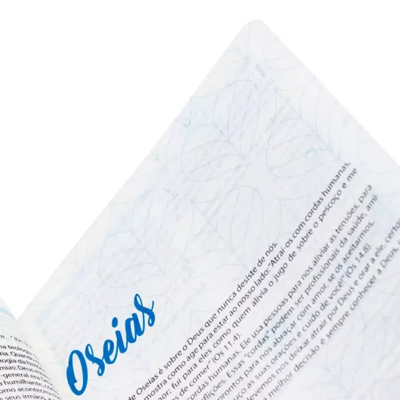 Bíblia NAA O Livro da Esperança