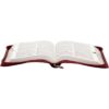 Bíblia ARC Letra Grande Vermelho Biblia Biblia