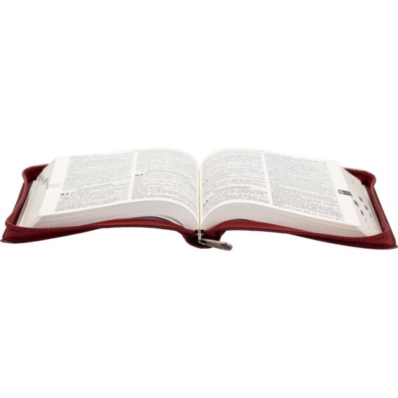 Bíblia ARC Letra Grande Vermelho Biblia Biblia