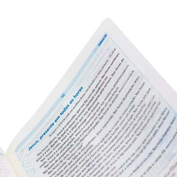 Bíblia NAA O Livro da Esperança
