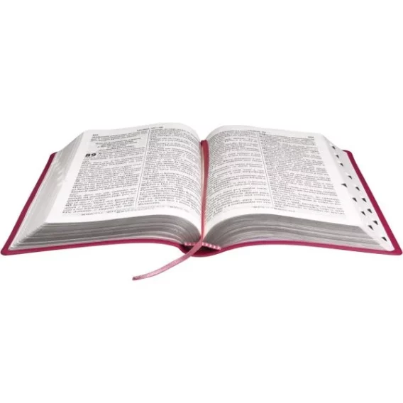 Bíblia NTLH Pink Letra Gigante com Índice Biblia Biblia