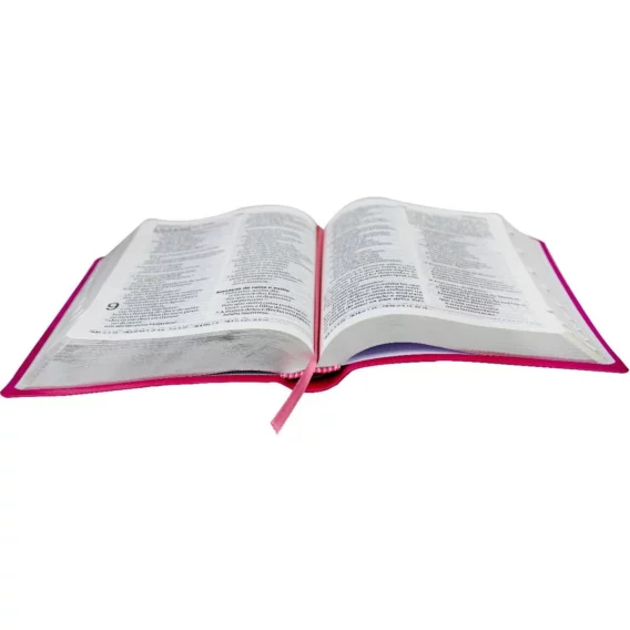 Bíblia NAA Pink Flor Letra Gigante com índice Biblia