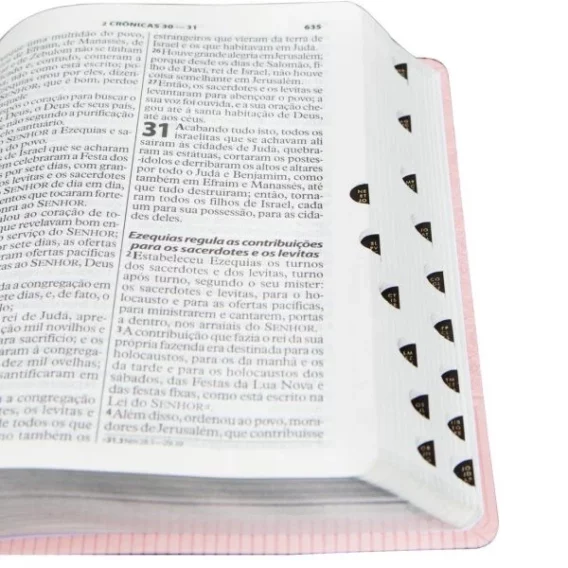 Bíblia ARA Rosa Claro Com Índice e Letra Gigante Biblia Biblia