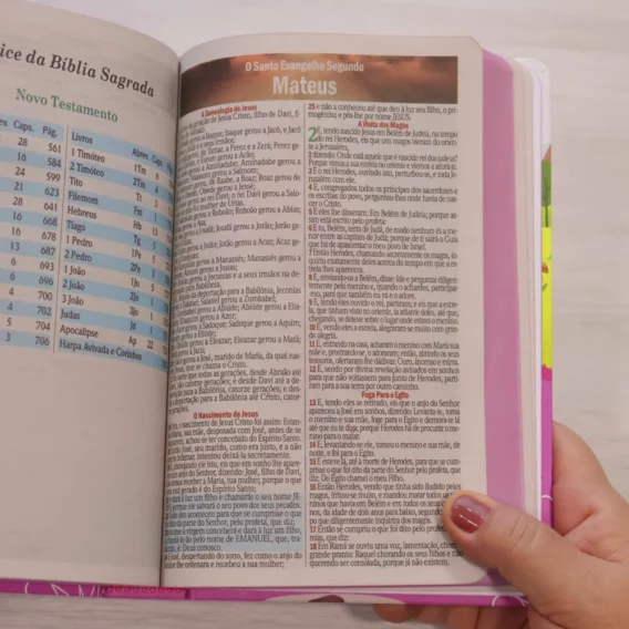 Bíblia das Meninas Corajosas Biblia Bíblia Infantil