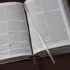 Bíblia Bilíngue Português / Inglês NTLH