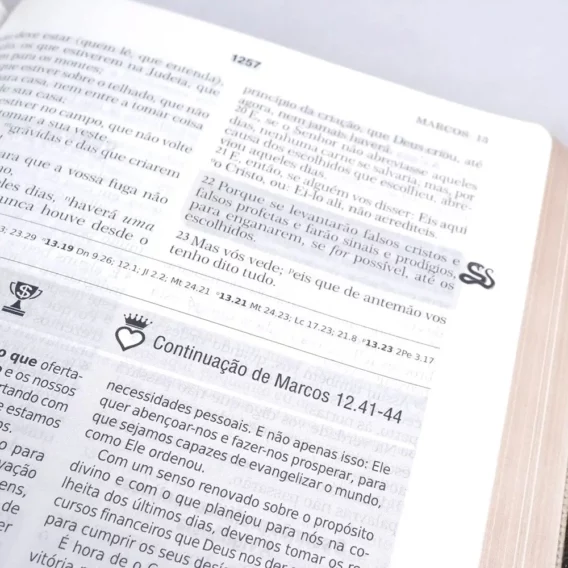 Bíblia de Estudo Batalha Espiritual e Vitória Financeira