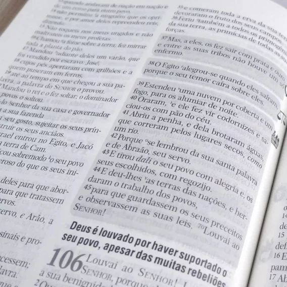 Bíblia de Estudo Batalha Espiritual e Vitória Financeira