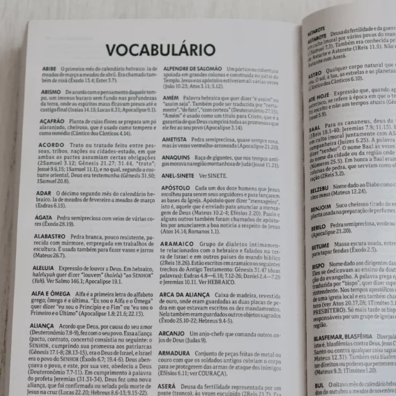 Bíblia NTLH Reino de Deus Brochura