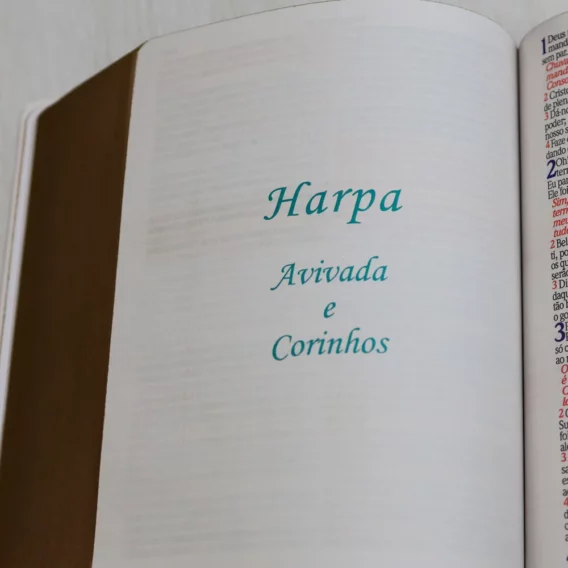 Bíblia ARC Pássaros Letra Jumbo Com Harpa Avivada