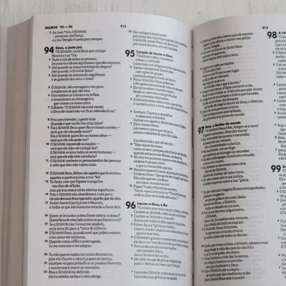 Bíblia NTLH Brochura Leão