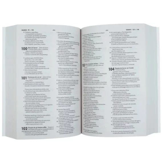 Bíblia NTLH Brochura Montanha