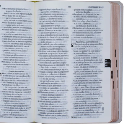 Bíblia ARA Flor Letra Grande Capa Dura Biblia Biblia Bíblia ARA Flor Letra Grande Capa Dura