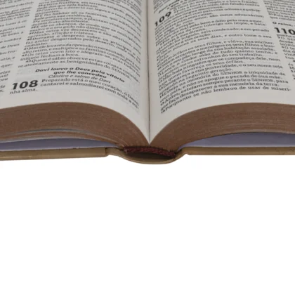 Bíblia ARC Ramos Capa Dura