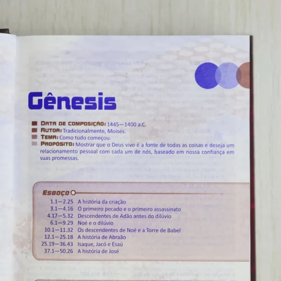 Bíblia NTLH Extreme Teen