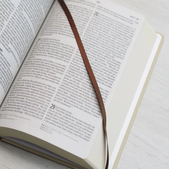 Bíblia NVI Cordeiro e Leão Capa Dura