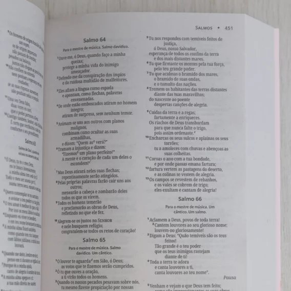 Bíblia NVI Brochura Rosa