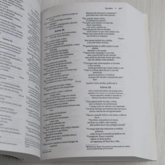 Bíblia NVI Brochura Coroa de Espinhos