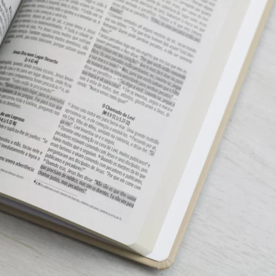 Bíblia NVI Cordeiro e Leão Capa Dura