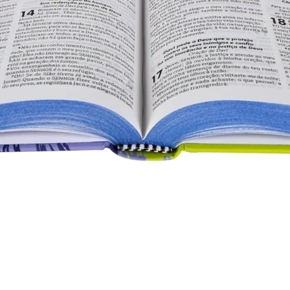 Bíblia ARC Leão Azul Capa Dura Biblia Biblia Bíblia ARC Leão Azul Capa Dura