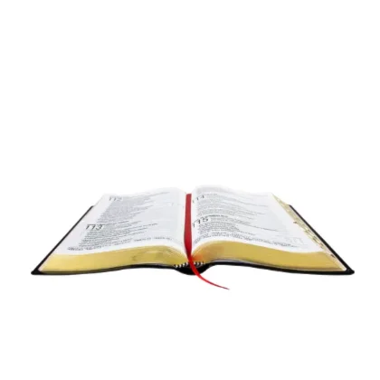 Bíblia NAA Preta Geométrica Letra Gigante Com Índice