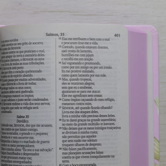 Bíblia NVI Lírios Rosa Capa Dura