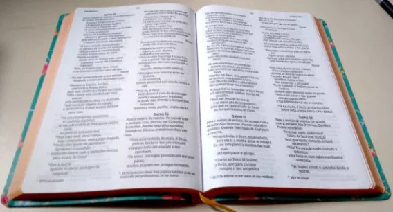 Bíblia NVI Pássaros Biblia Biblia Bíblia NVI Pássaros