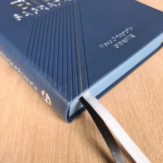 Bíblia NVI Azul Letra Grande