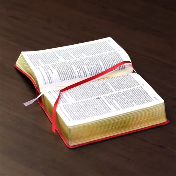 Bíblia NVI Capa Soft Rosado