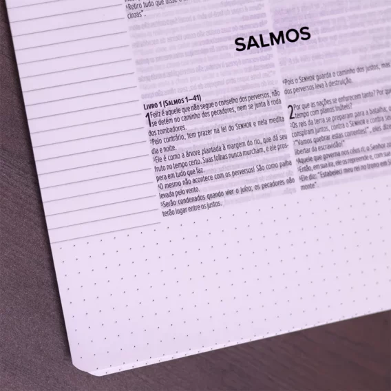 Bíblia Anote Slim NVT Rosa